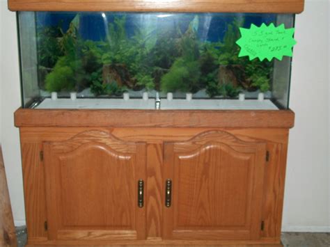 Fish Tank Aquarium with Rock Plants Shells Pump Light Neon. . Used aquariums for sale